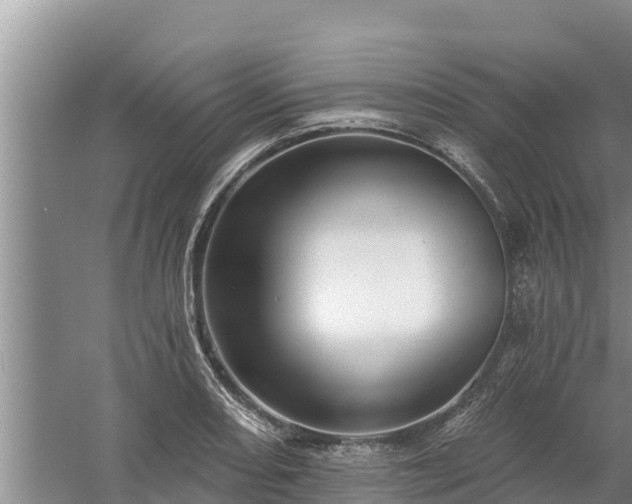 X0000058121082200509301920