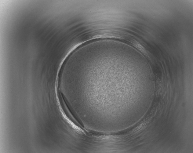 X0000058121084200509301920