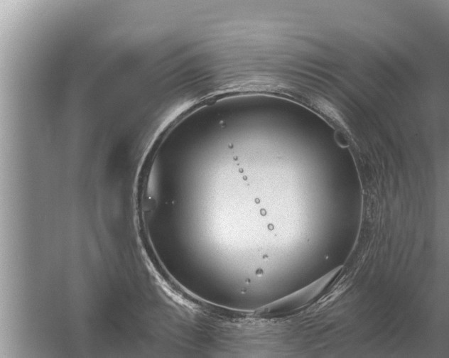 X0000058121087200509301920