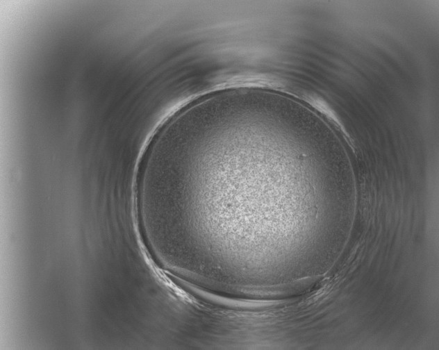 X0000058121088200509301920