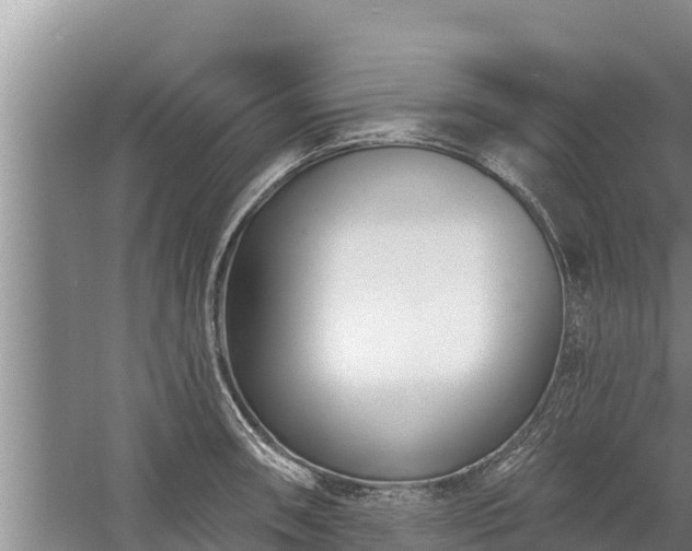 X0000058121090200509301920