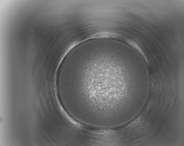 X0000058121091200509301920