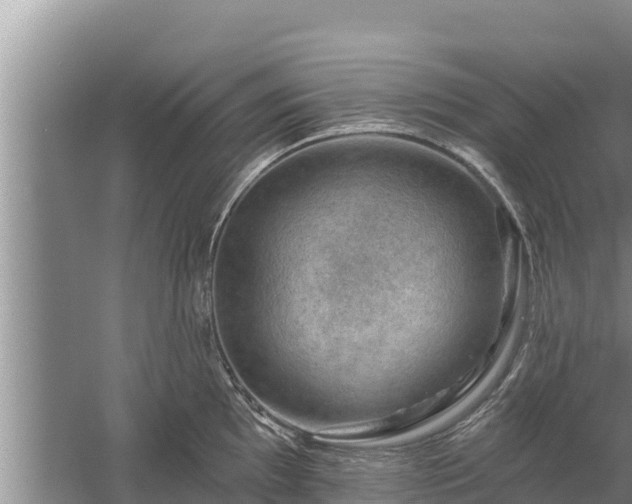 X0000058121097200509301920