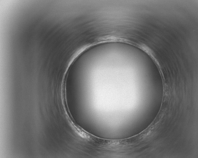 X0000058121098200509301920