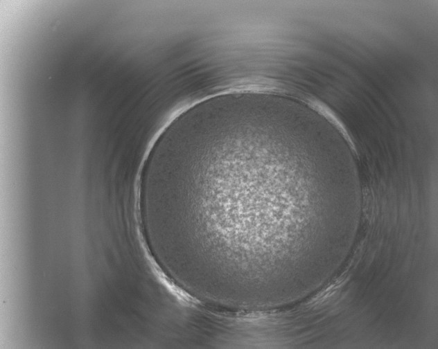 X0000058121099200509301920