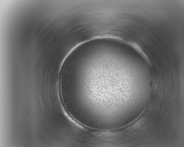 X0000058121100200509301920