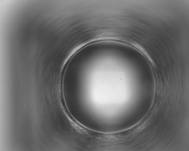 X0000058121101200509301920