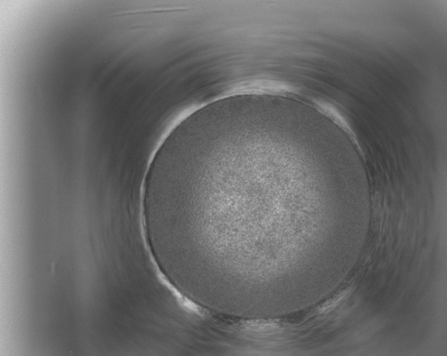 X0000058121103200509301920