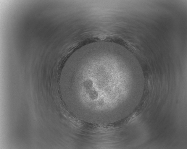 X0000058121105200509301919