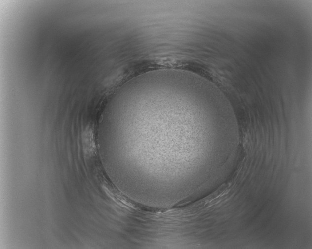 X0000058121106200509301919