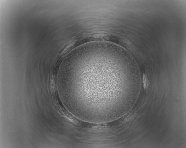 X0000058121107200509301919