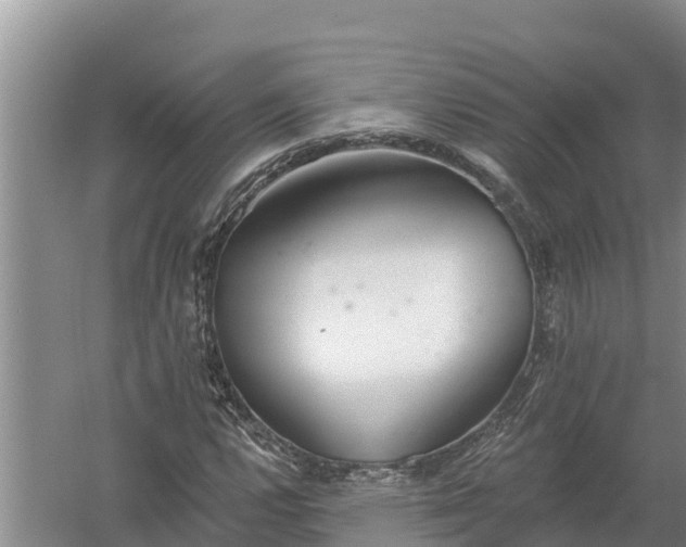 X0000058121112200509301919