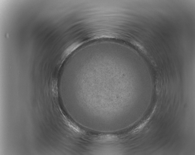 X0000058121113200509301919