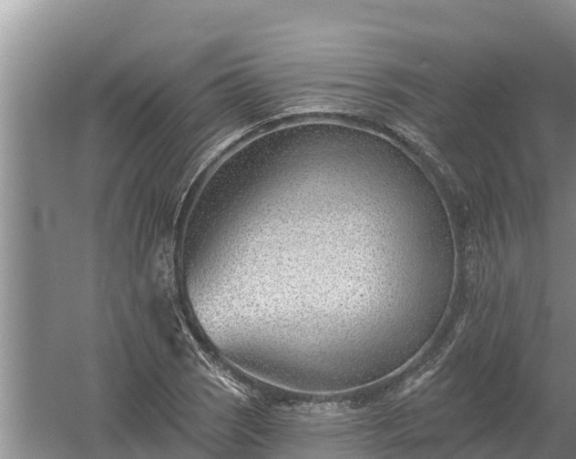 X0000058121121200509301919