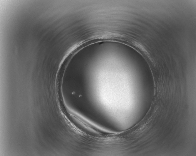 X0000058121122200509301919