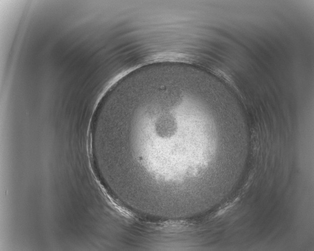 X0000058121125200509301920