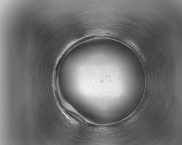 X0000058121128200509301920