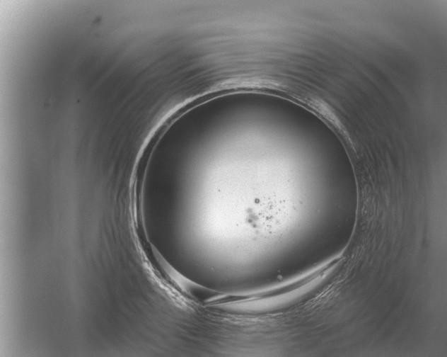 X0000058121132200509301920