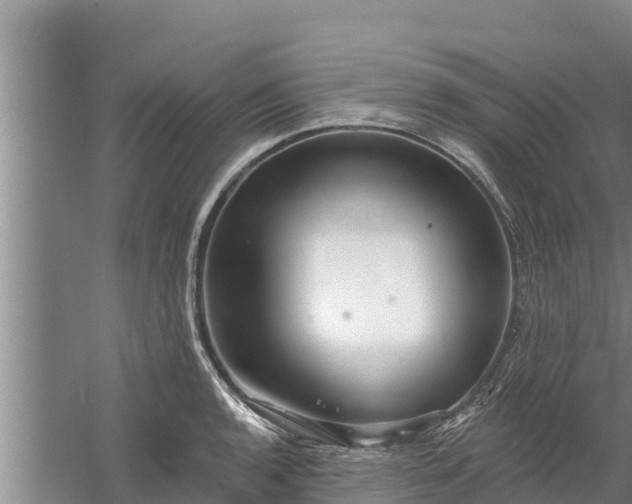 X0000058121136200509301920