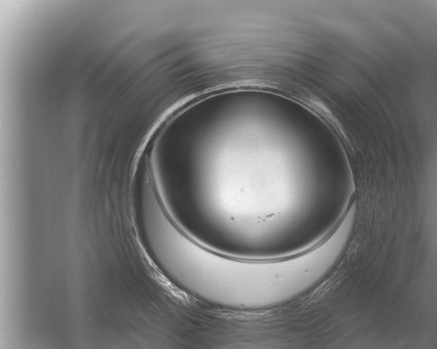 X0000058121140200509301920