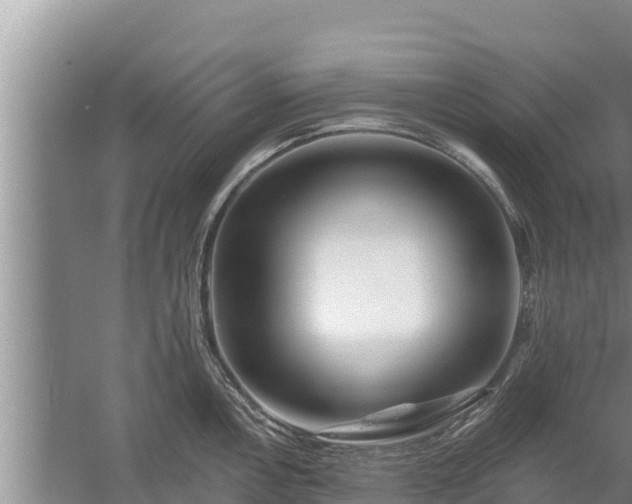 X0000058121146200509301920