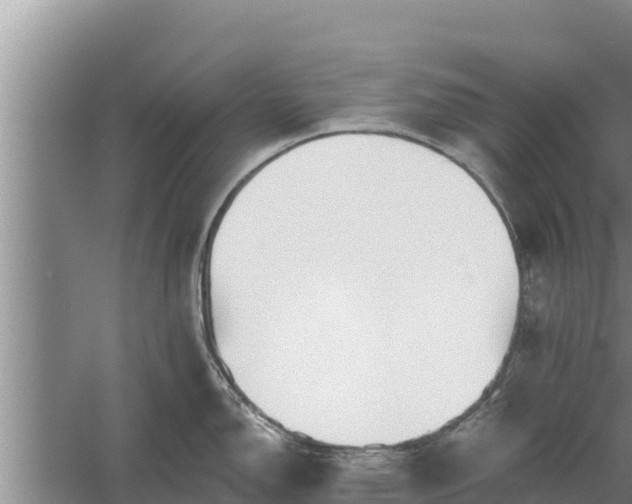 X0000058121150200509301920