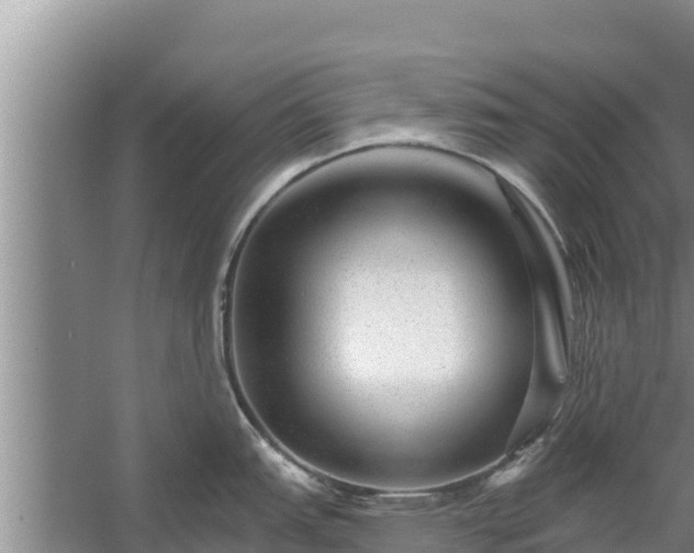 X0000058121151200509301920