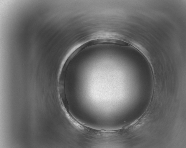 X0000058121152200509301920