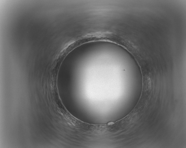 X0000058121158200509301919