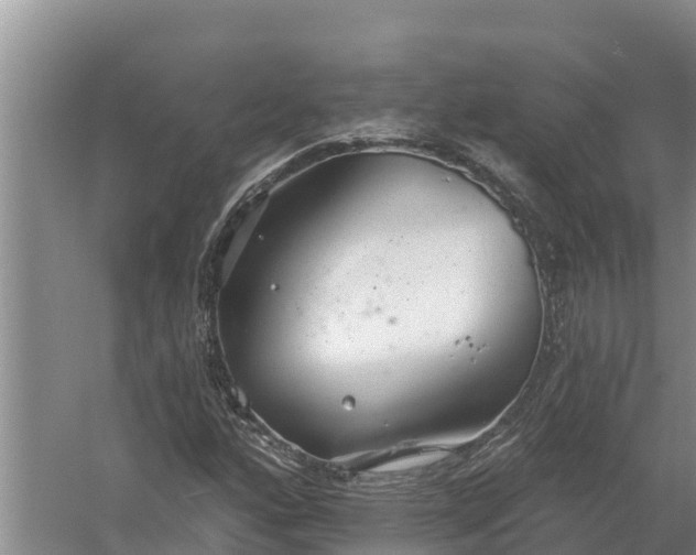 X0000058121160200509301919