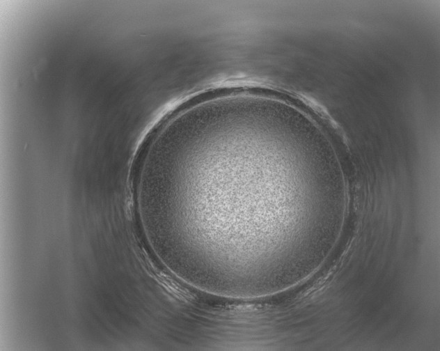 X0000058121167200509301919