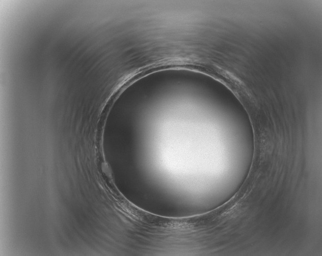 X0000058121170200509301919