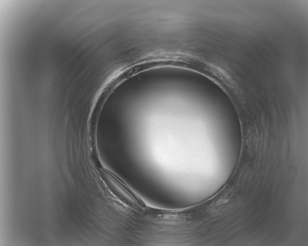 X0000058121172200509301919