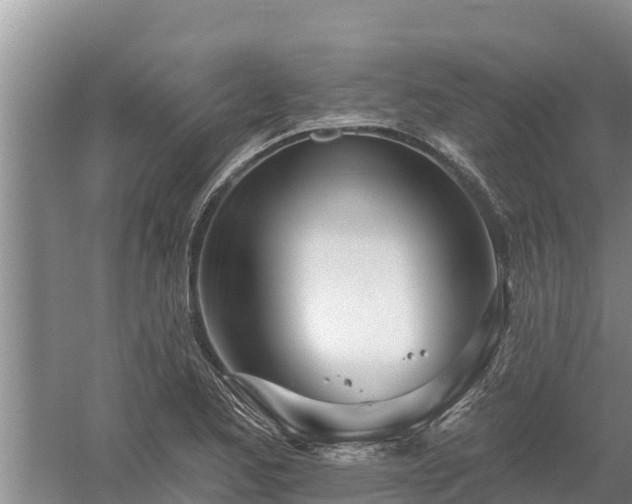 X0000058121173200509301919