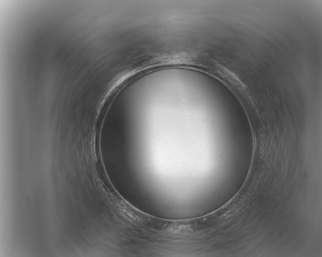 X0000058121174200509301919