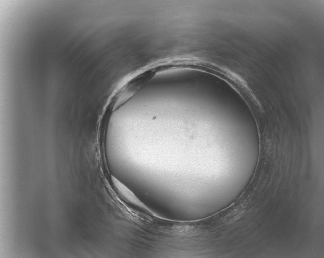 X0000058121176200509301919