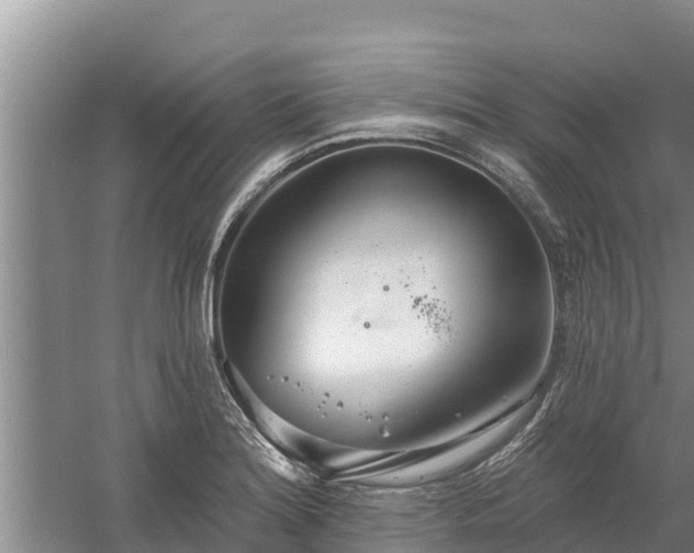 X0000058121180200509301919