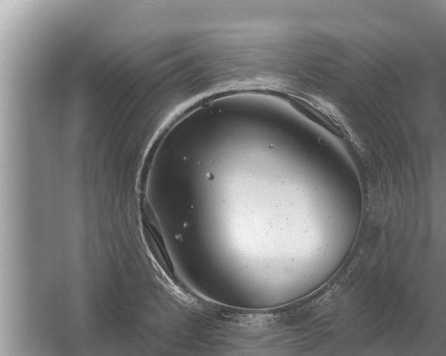 X0000058121184200509301919