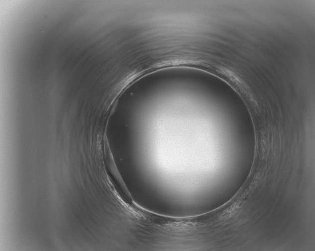 X0000058121185200509301919