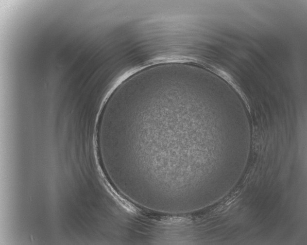 X0000058121187200509301919