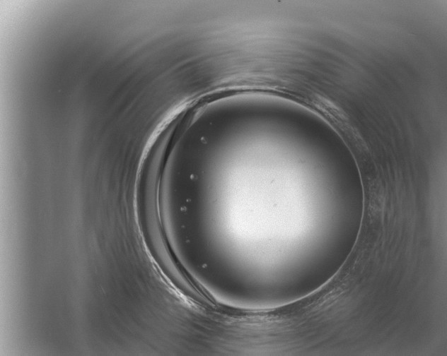 X0000058121188200509301919