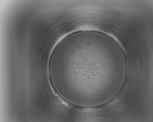 X0000058121191200509301919