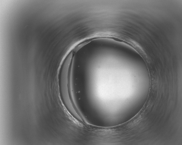 X0000058121192200509301919