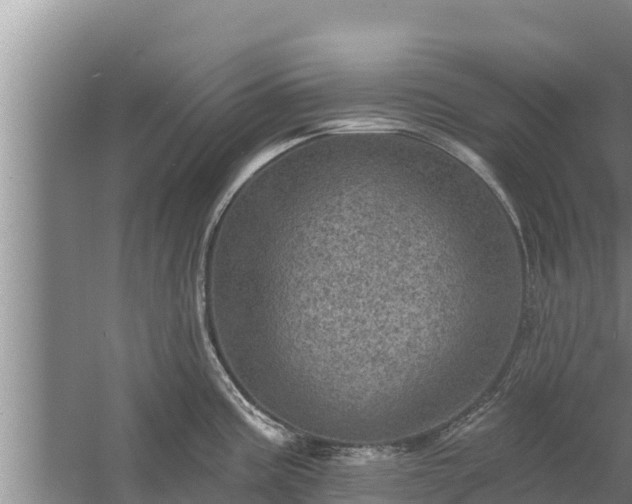 X0000058121195200509301918