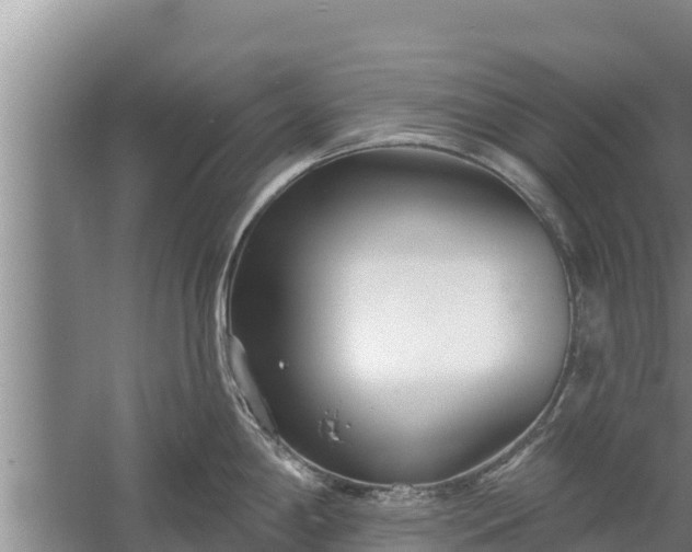 X0000058121198200509301918