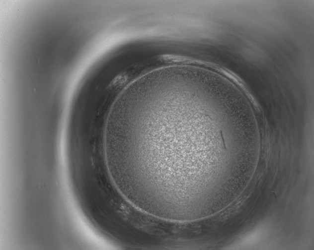 X0000058121199200509301918