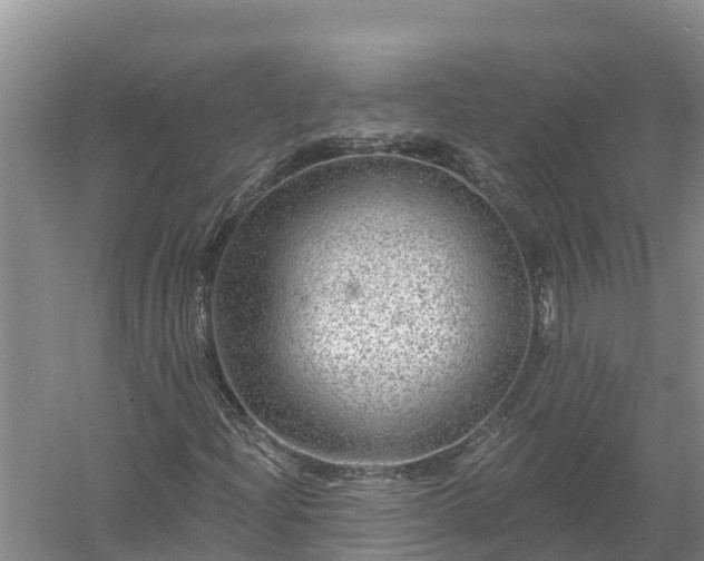 X0000058121204200509301918