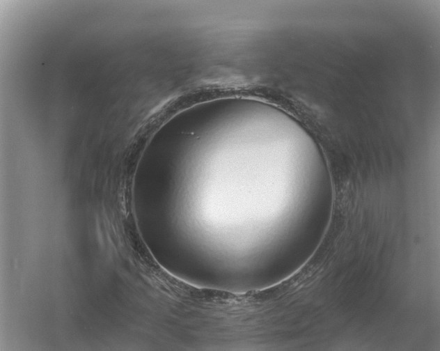 X0000058121205200509301918