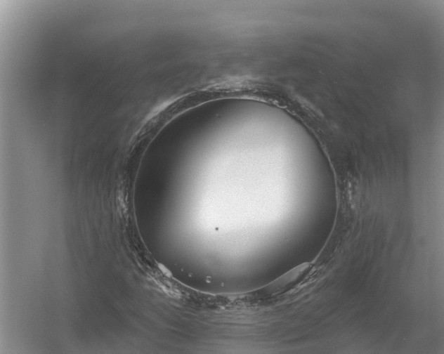 X0000058121206200509301918