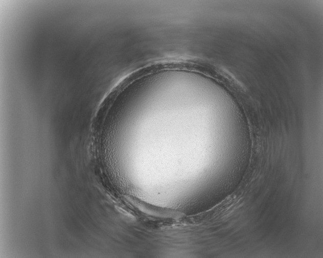 X0000058121208200509301918